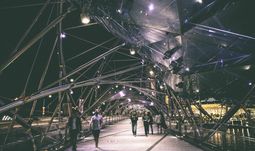 Temasek condemns “racist campaign” as Singapore banks balance interests of local and foreign staff