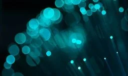 Banks want diversity, hedge funds want C++