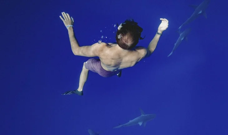 man swimming with sharks