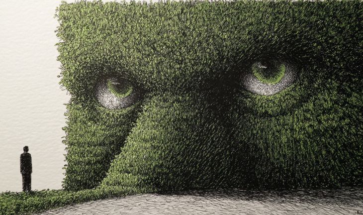 a man looking at a hedge with green eyes 