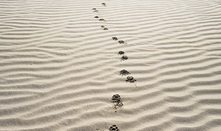 footprints in the sand
