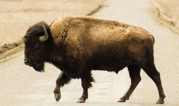 The ex-JPMorgan ED who's the biggest tech beast in finance