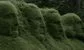 heads carved into a hedge 