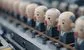 HSBC's 20,000 potential AI job cuts could be duplicated at Goldman Sachs & Citi 